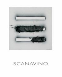 immagine pubblicazione Emilio Scanavino