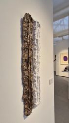 Pan Amsterdam 2025 Pino Pinelli