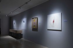 Alberto Biasi - Ara Pacis, Roma