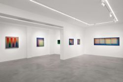 Carlos Cruz-Diez. Colore come evento di spazi