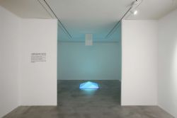 Carlos Cruz-Diez. Colore come evento di spazi
