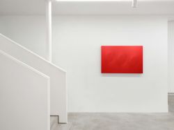DEP ART GALLERY | 20 ANNI