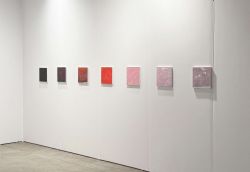 Natale Addamiano - Solo Show ExpoCHGO 2025 