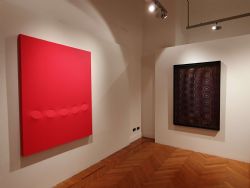 In the matter of color @ Palazzo del Monferrato 