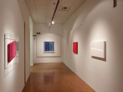 In the matter of color @ Palazzo del Monferrato 