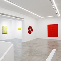 Mostra In the matter of color Addamiano, Biasi, Pinelli, Simeti