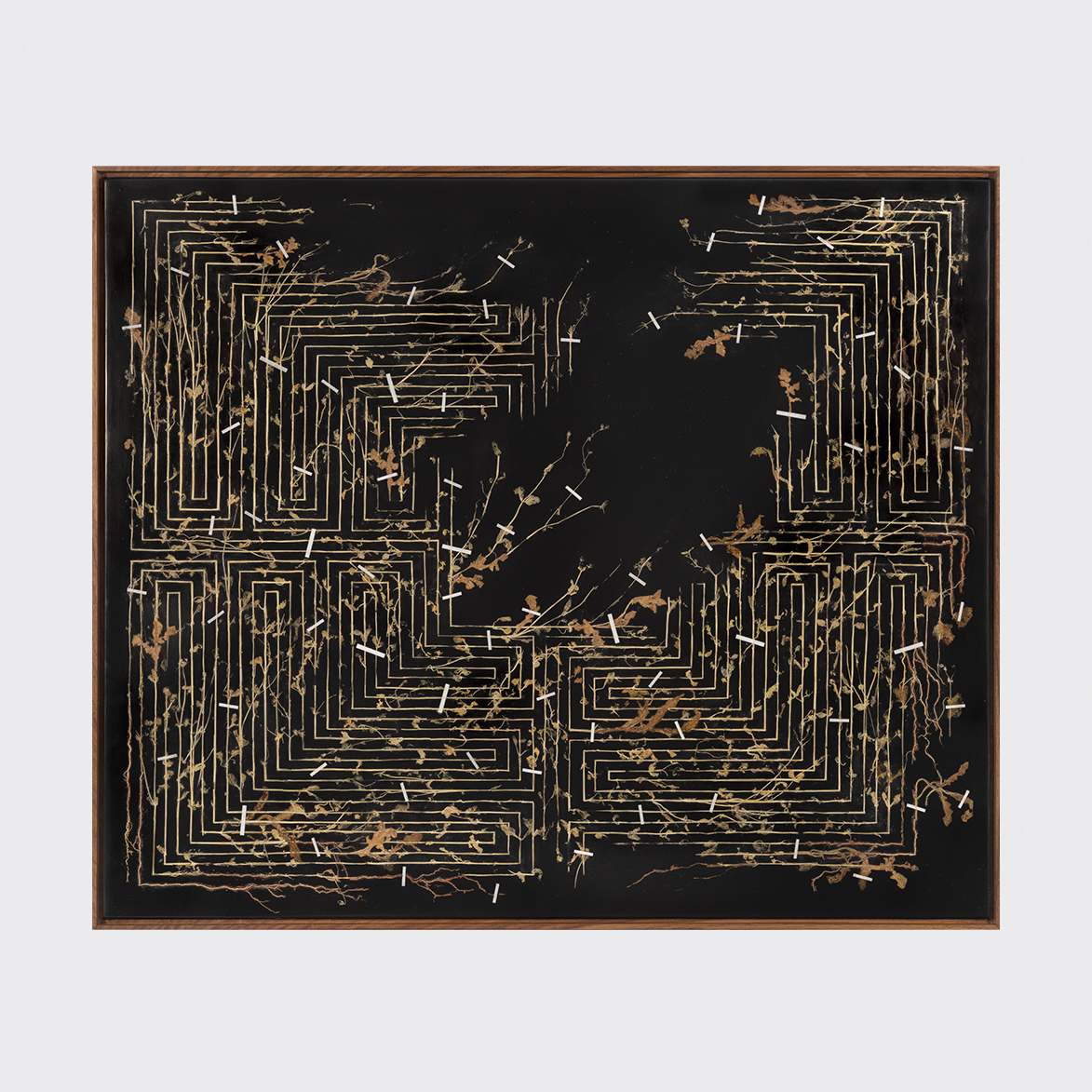 Opera di Gerhard  MARX, Titolo Golden Thread I