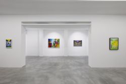 Salvo. Un'arte senza compromessi