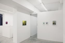 Salvo. Un'arte senza compromessi